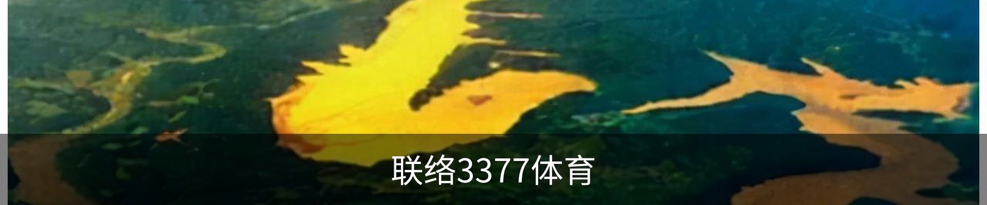 内页banner